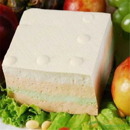 大連豆腐機價格全解析 廠家直銷與豆制品銷售雙視角
